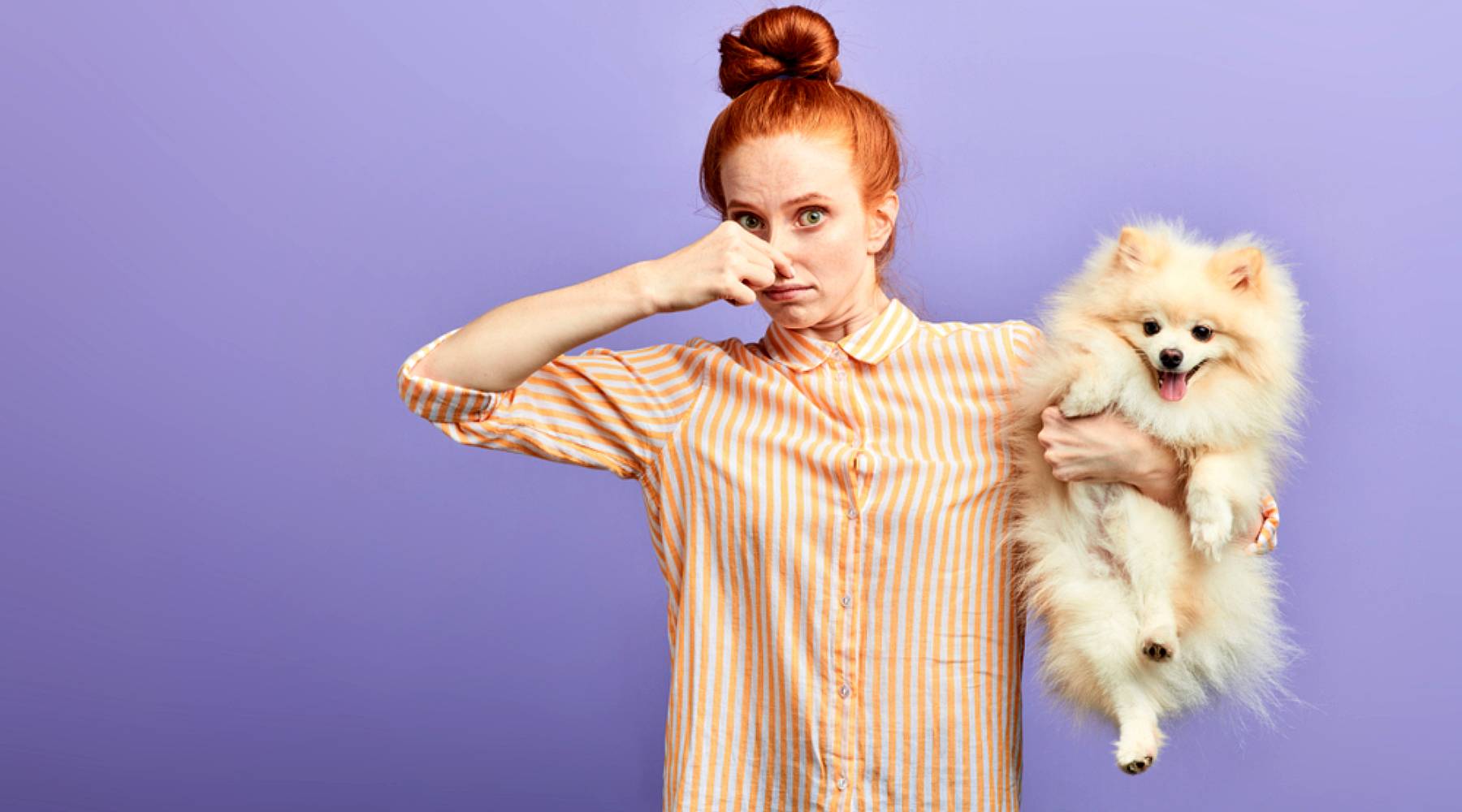 Les flatulences (pets) chez le chien: comment les stopper ?