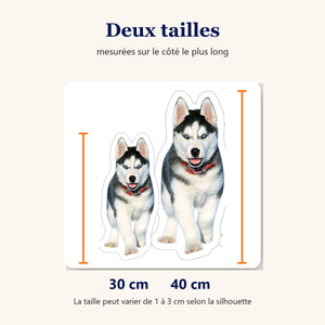 Coussin photo chien en deux tailles, 30 cm et 40 cm, mesurées sur le côté le plus long