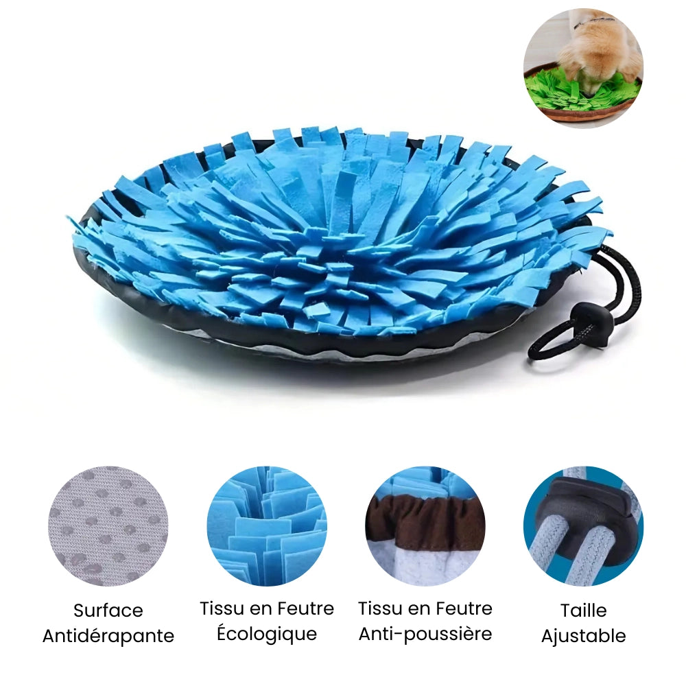 Flair’Mat | Stimule l’odorat et l’esprit de votre chien