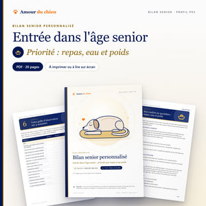 Bilan senior PDF « entrée dans l'âge senior », priorité repas, eau et poids : couverture, chapitre 5 et grille