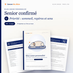Bilan senior PDF « senior confirmé », priorité sommeil, repères et sens : couverture, chapitre 5 et grille