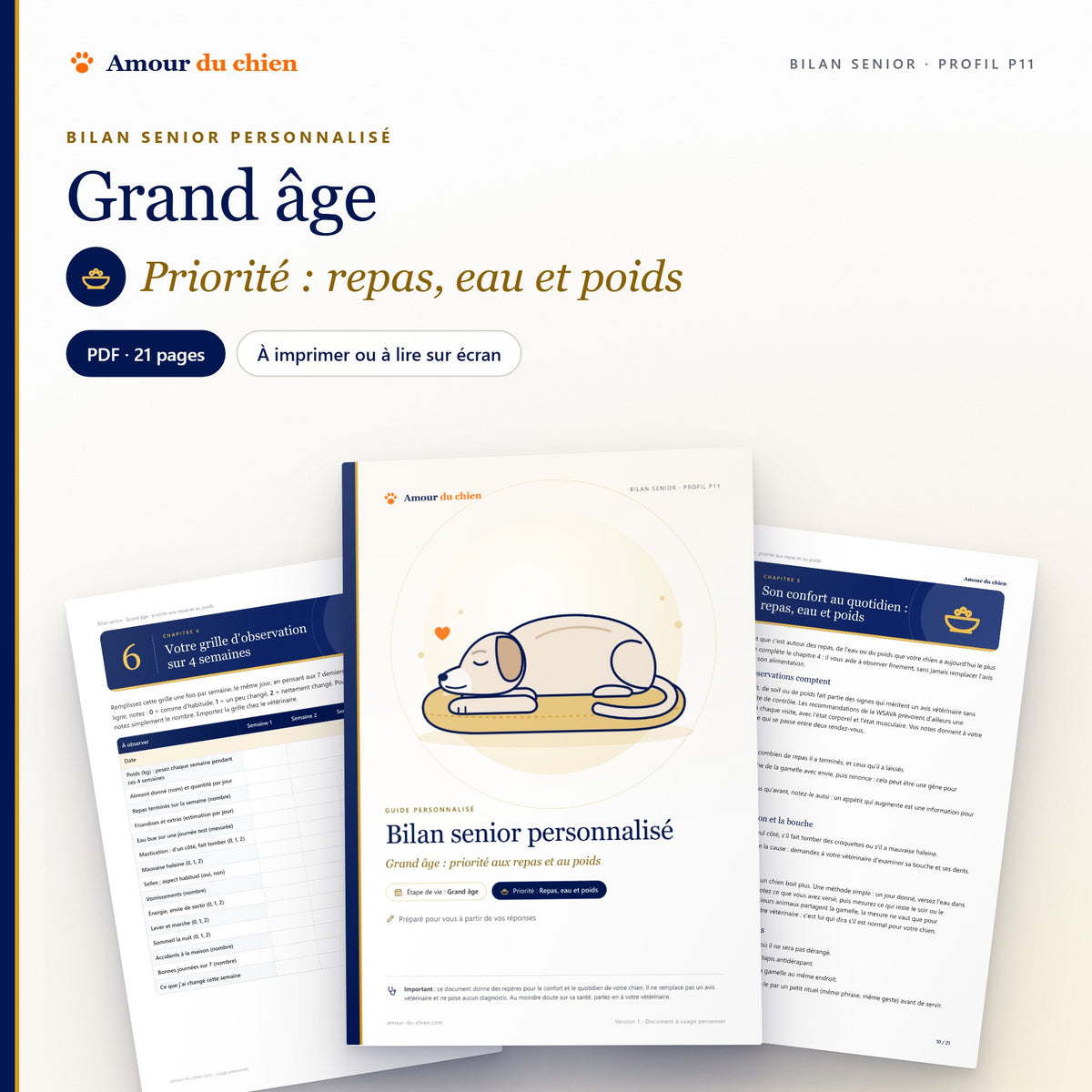 Bilan senior PDF « grand âge », priorité repas, eau et poids : couverture, chapitre 5 et grille d'observation