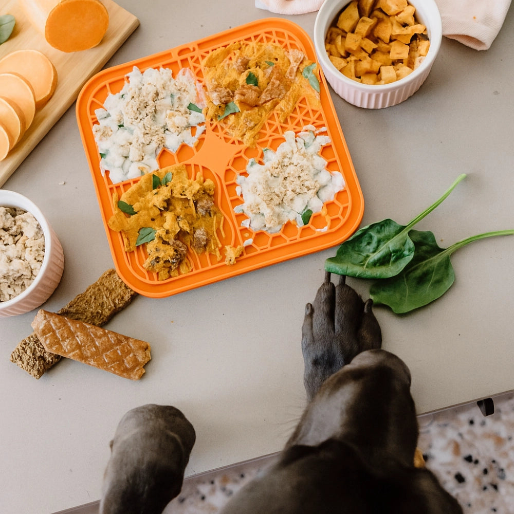 PawLick™ – Anti-Stress Naturel & Digestion Saine