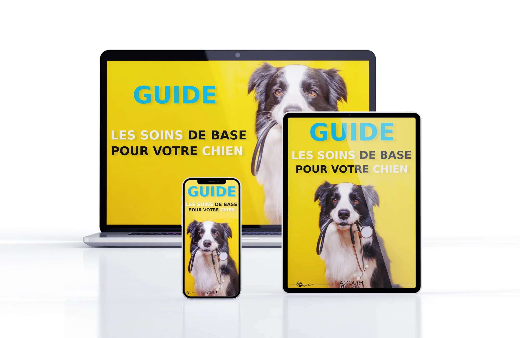 Les soins de base pour votre chien