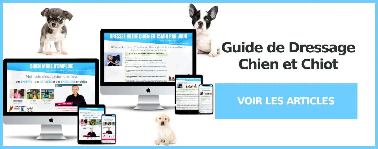 guide de dressage pour chien et chiot