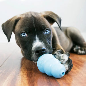 jouet caoutchouc resistant pour chien