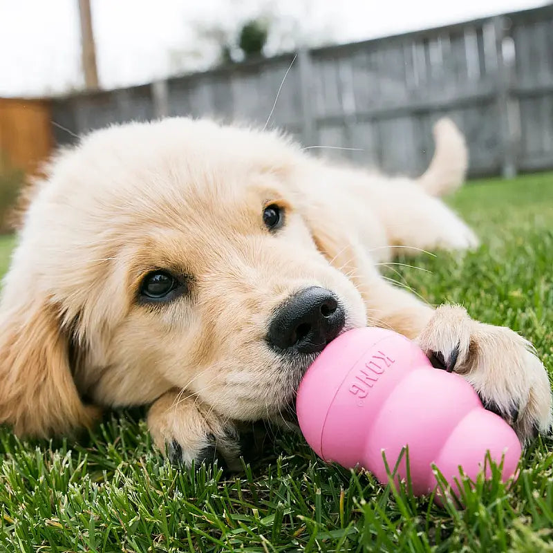 jouet pour chien en caoutchouc resistant
