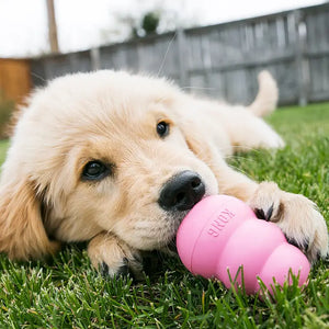jouet pour chien en caoutchouc resistant