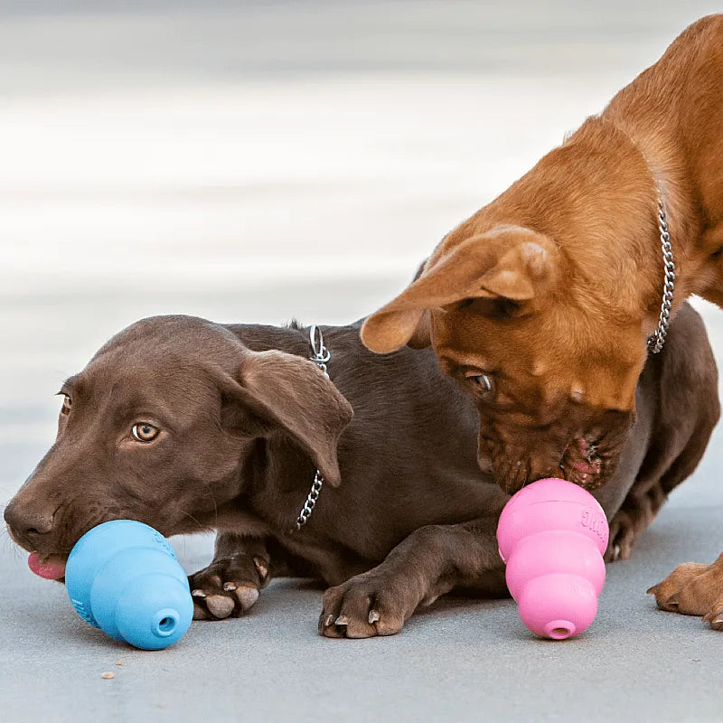 jouet kong caoutchouc resistant chien