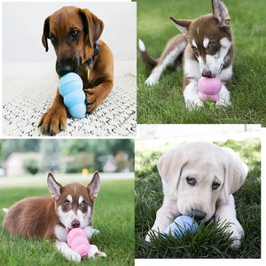 jouet kong resistant en caoutchouc pour chien