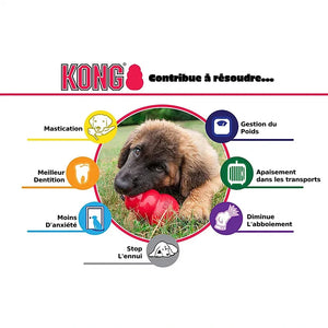 kong jouet resistant pour chien