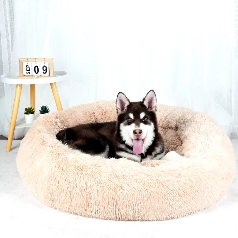 Lit Rond Moelleux pour Chien - Abricot