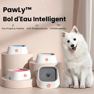 Quatre bols d'eau anti-éclaboussures Pawly blancs et colorés, chien blanc assis