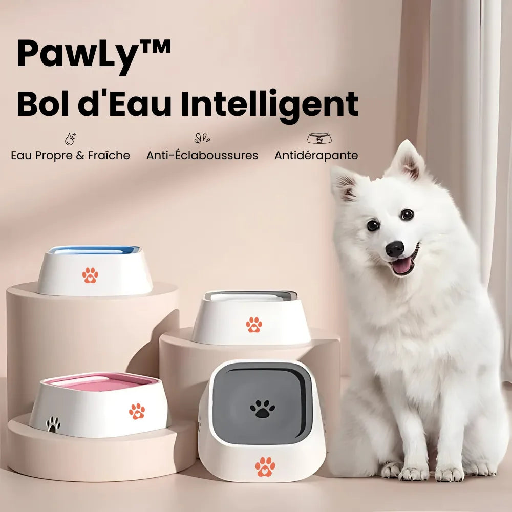 Quatre bols d'eau anti-éclaboussures Pawly blancs et colorés, chien blanc assis