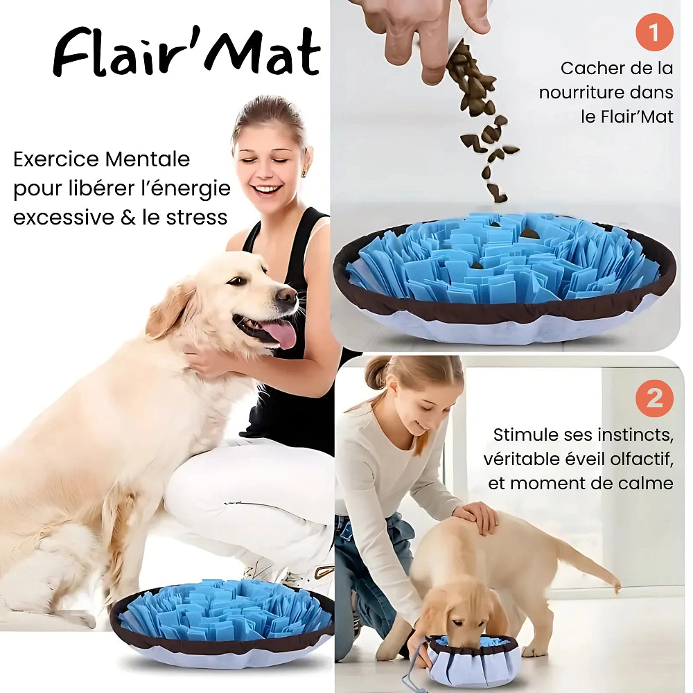 Flair’Mat | Stimule l’odorat et l’esprit de votre chien