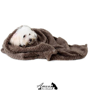 serviette bain chien