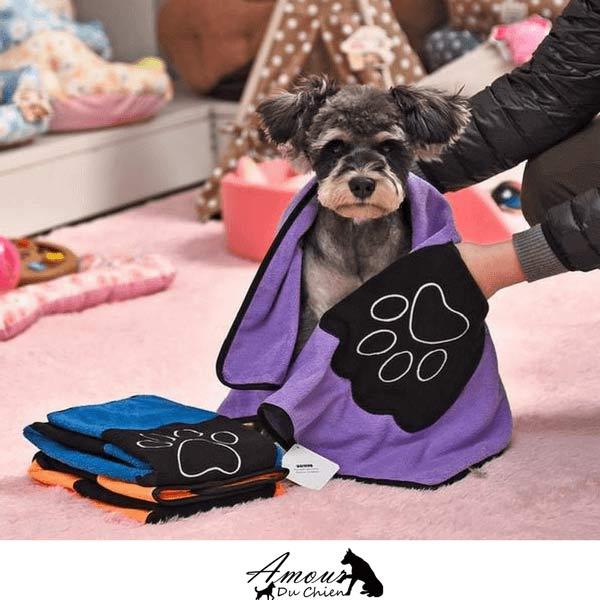 serviette pour chien