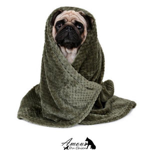 serviette bain chien