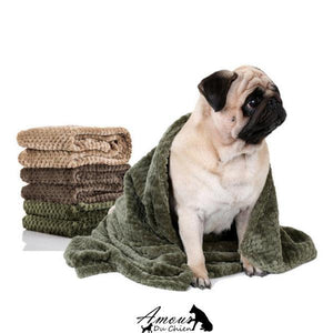 serviette bain chien