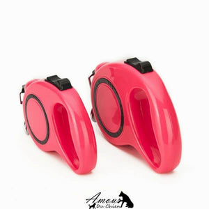 laisse rétractable chien
