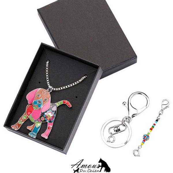 Collier chien beagle