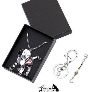 Collier chien beagle
