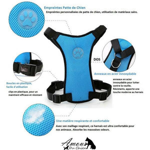 Grand Harnais en Nylon Pour Chiens
