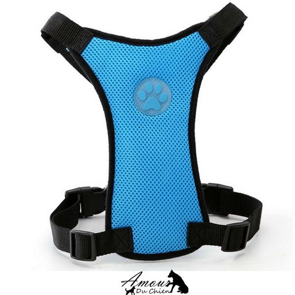 Grand Harnais en Nylon Pour Chiens