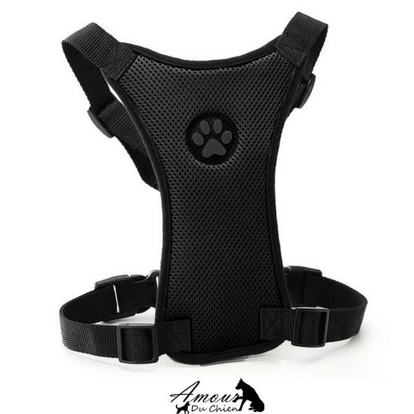 Grand Harnais en Nylon Pour Chiens