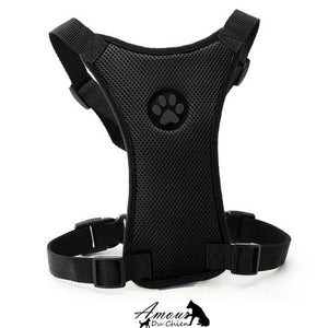 Grand Harnais en Nylon Pour Chiens
