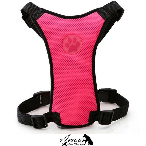 Grand Harnais en Nylon Pour Chiens