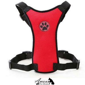 Grand Harnais en Nylon Pour Chiens