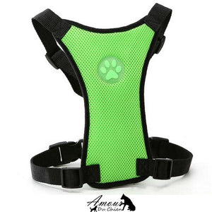 Grand Harnais en Nylon Pour Chiens