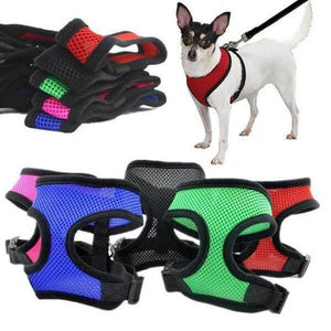 harnais souple chien