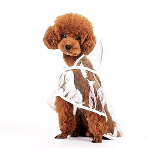 Imperméable pour chien transparent