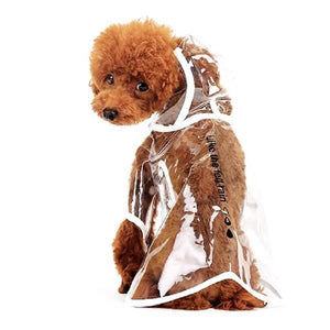 Imperméable pour chien transparent