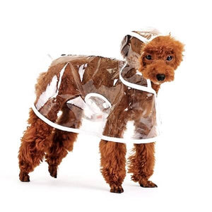 Imperméable pour chien transparent