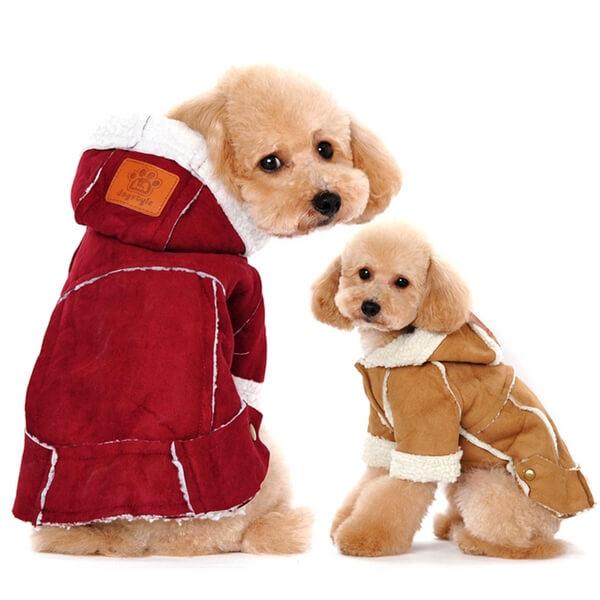 Manteau en Cachemire rembourré pour chien
