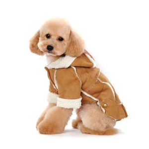 Manteau en Cachemire rembourré pour chien