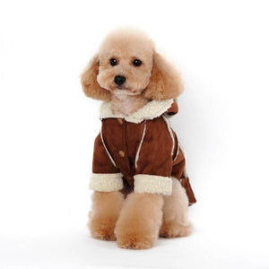 Manteau en Cachemire rembourré pour chien