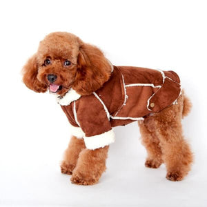 Manteau en Cachemire rembourré pour chien