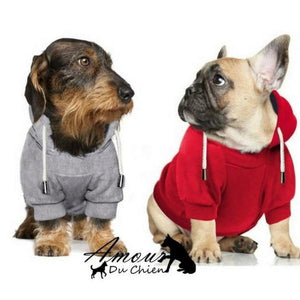 Pull pour a capuche pour chien