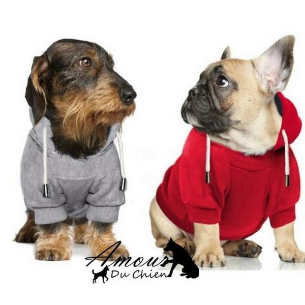 Pull pour a capuche pour chien
