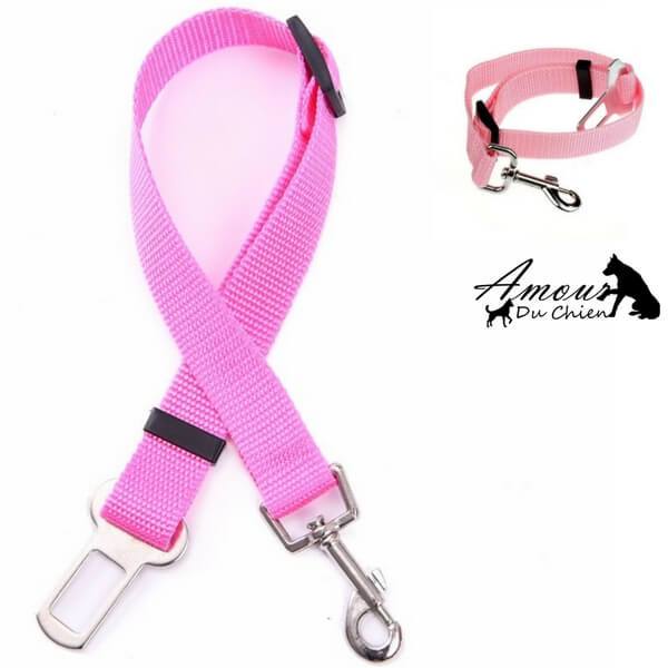 ceinture de sécurité voiture chien