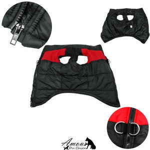 gilet harnais étanche pour chien imperméable