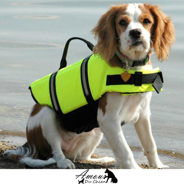 Dog Life Jacket