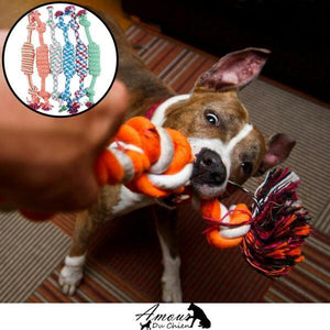 jouet corde chien