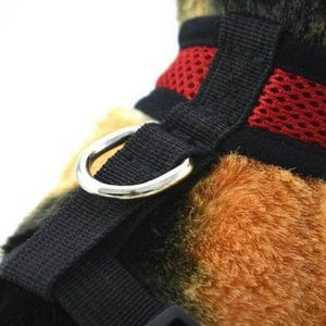 harnais souple chien