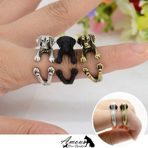 bague chien labrador