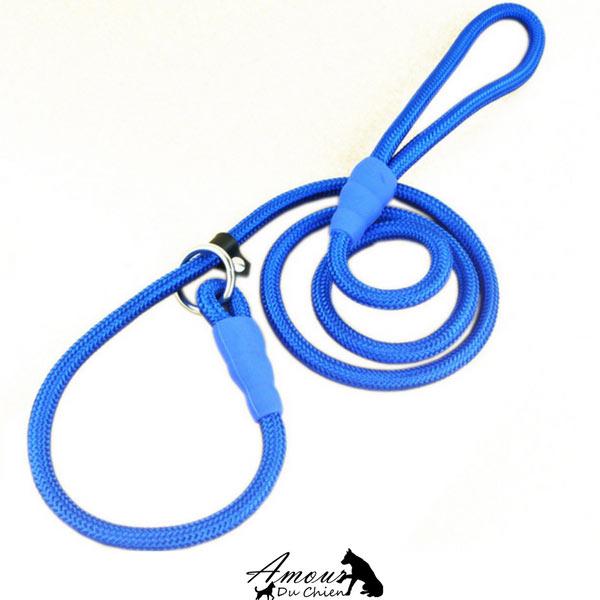 longe dressage chien